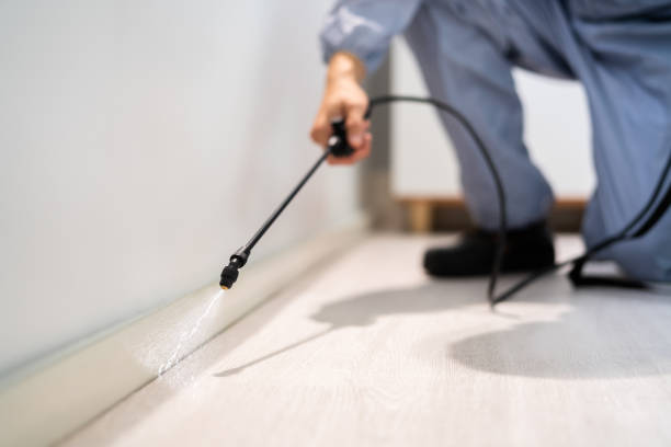 Bed Bug Pre-Treatment Preparation Assessment in Weldon