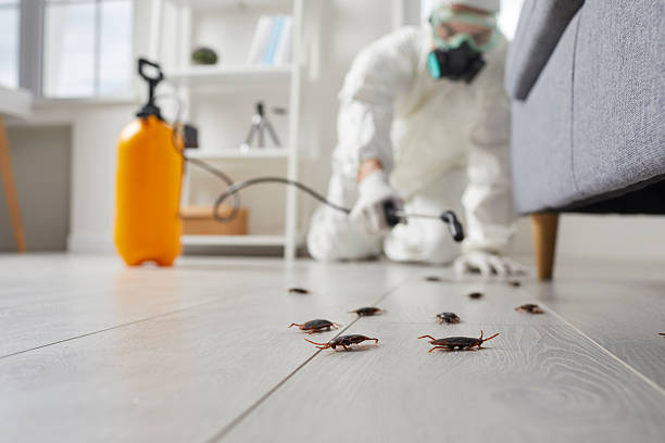 Post-Treatment Bed Bug Interceptor Monitoring in Weldon