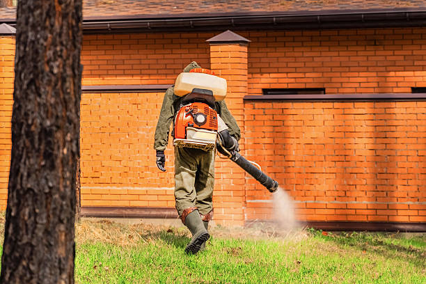 Bed Bug Clearance Verification and Documentation in Weldon